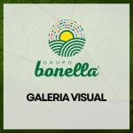 Galeria Visual