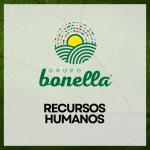 Recursos Humanos